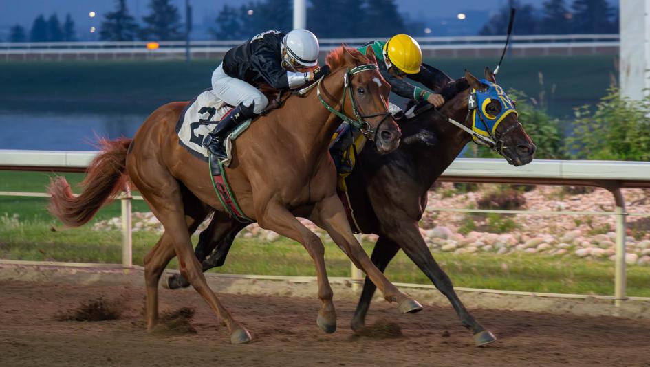 Canadian Derby, Century Mile, Glance, preview, horse racing, Helioo, Debrusk, Kamal, Quarry, Magicstrikesagain, Direct Strike, Really Ralis, Big Curl, Gethsemane, Tisum, Javier, Western Warrior, Canada, Edmonton, ABR